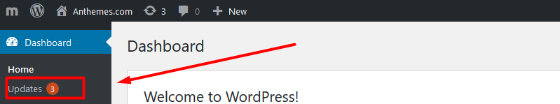 updating wordpress